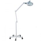 Magnifying Lamp with 5 Branch Metal Stand