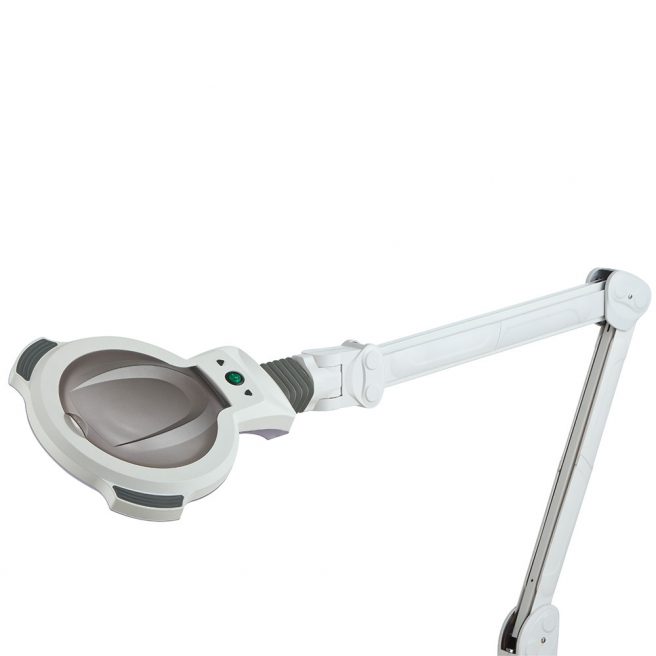 Magnifying LED Lamp